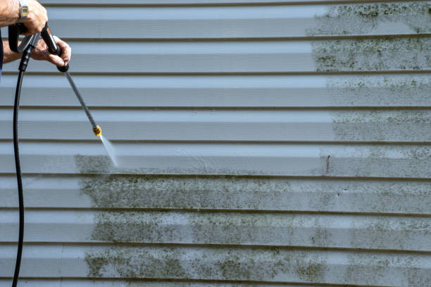 Best Attic Cleanout  in Coushatta, LA